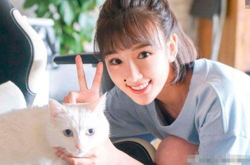 毛晓彤娱乐圈爆料,揭秘明星背后的真实故事  第3张